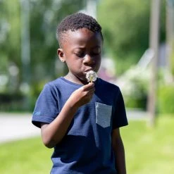 Bergans Of Norway Myske Wool Kids Tee Navy -Bergans Of Norway shop 8912 557 3